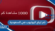 كم ارباح اليوتيوب في السعودية