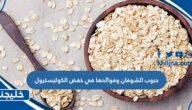 حبوب الشوفان وفوائدها في خفض الكوليسترول