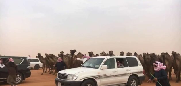 الشثري من اي قبيله – موقع خليجنا