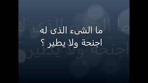 ما هو الشيء الذي له اكثر من جناح ولا يطير – خليجنا نت