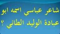 شاعر عباسي اسمه ابو عبادة – خليجنا نت