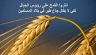 من القائل انثروا القمح على رؤوس الجبال عند الشيعة – خليجنا نت