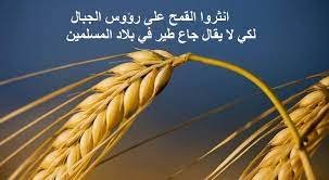 من القائل انثروا القمح على رؤوس الجبال عند الشيعة – خليجنا نت