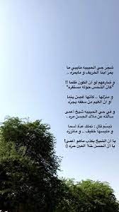 شجر حي الحبيبة مايبي ما – خليجنا نت