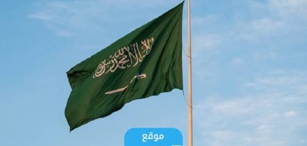 من هي منال الرشيدي السيرة الذاتية