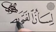 لسان الفتى نصف ونصف فؤاده – خليجنا نت