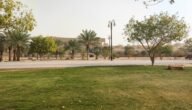 دليل حديقة تلال الرياض 2023 – المرافق