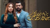 من هي امير في مسلسل خان الذهب – خليجنا نت