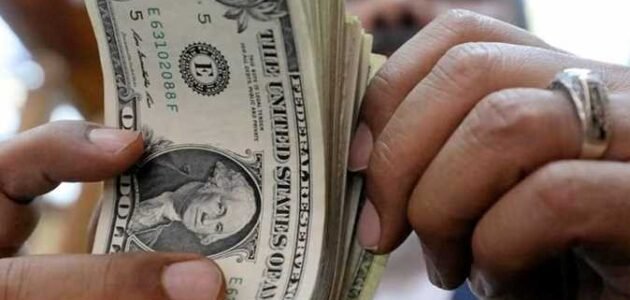 استقرار سعر الدولار اليوم في مصر
