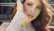 من هو زوج نسرين طافش ويكيبيديا