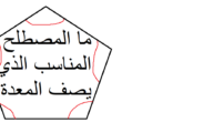 ما المصطلح المناسب الذي يصف المعدة؟