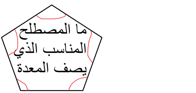 ما المصطلح المناسب الذي يصف المعدة؟
