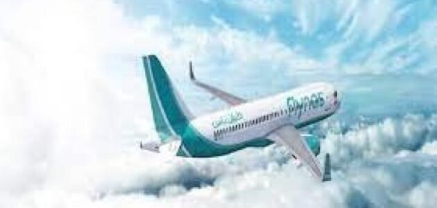 استعلام عن حجز طيران ناس بالاسم 2023 الرابط والخطوات