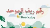 وزارة البيئة تخصص رقم ريف الموحد لدعم الأسر المنتجة وشروط التسجيل في دعم ريف