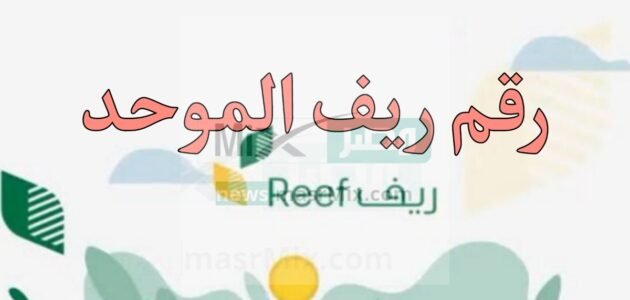 وزارة البيئة تخصص رقم ريف الموحد لدعم الأسر المنتجة وشروط التسجيل في دعم ريف