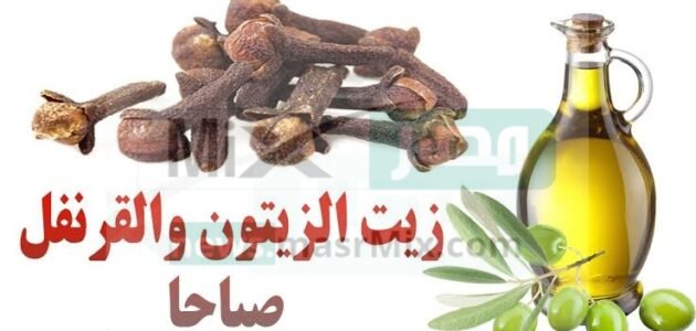 فوائد زيت الزيتون والقرنفل لزيادة كثافة الشعر .. لا تعد ولا تحصى