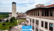 تخصصات جامعة koc كوتش في تركيا 2023