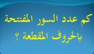 كم عدد السور التي ابتدأت بالحروف المقطعة الم – خليجنا نت
