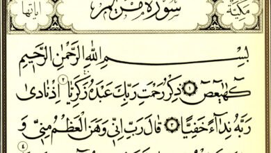 ما اكثر سورة تكرر فيها اسم الرحمن – خليجنا نت