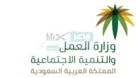 كيف أدخل على التأهيل الشامل؟ وزارة الموارد توضح خطوات الدخول والاستعلام