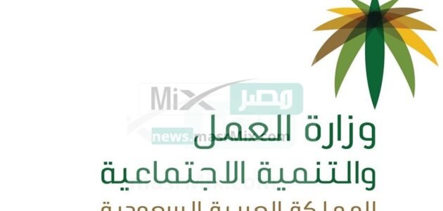كيف أدخل على التأهيل الشامل؟ وزارة الموارد توضح خطوات الدخول والاستعلام