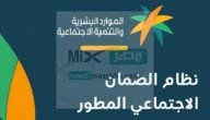 تحذير عاجل من الموارد يوضح عقوبة الضمان المطور للمتزوجة في تلك الحالة يصل للسجن والغرامة فاحذريها!