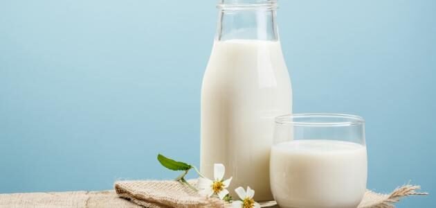 هل اللبن يعطش في الصيام – خليجنا