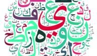 من قائل انا الذي نظر الاعمى الى ادبي