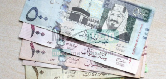 مؤسسة التأمينات توضح آلية احتساب المعاش التقاعدي 1444 في المملكة العربية السعودية