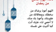 دعاء اليوم التاسع من رمضان 2023 .. اَللّهُمَّ لا تُؤاخِذْنى فيهِ بِالعَثَراتِ وأقِلْنى فيهِ مِنَ الْخَطايا وَالْهَفَواتِ