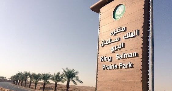 دليل منتزه الملك سلمان البري 2023 بالتفصيل 1 دليل منتزه الملك سلمان البري 2023 بالتفصيل