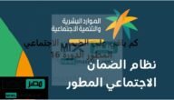 بدأ العد التنازلي .. كم باقي على الضمان الاجتماعي المطور الدفعة 16 في شهر رمضان 1444؟
