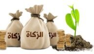 حكم توكيل الجمعيات الخيرية في اخراج زكاة الفطر