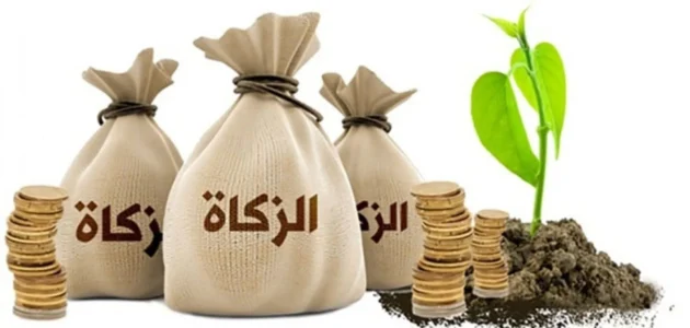 رابط دفع زكاة الفطر اون لاين السعودية 2023