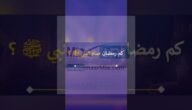 كم رمضان صام رسول الله صلي الله عليه وسلم .. وما فضل شهر رمضان؟