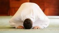 دعاء صلاة الحاجة ويكيبيديا – خليجنا