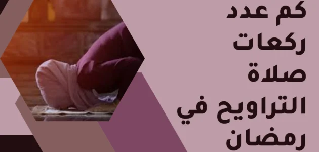 كم عدد ركعات صلاة التراويح وكيف تصلى