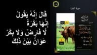 معنى فارض في سوره البقرة