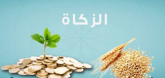 كم كيلوغراما تخرج زكاة الفطر؟