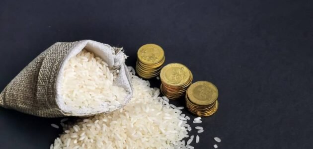 قيمة ومقدار زكاة الفطر نقدا بالريال القطري 2023