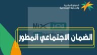 متي تنزل اهلية الضمان الاجتماعي لشهر ابريل؟.. الموارد البشرية توضح