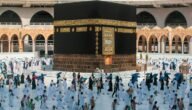 كيف الغي تصريح العمرة من توكلنا واعتمرنا