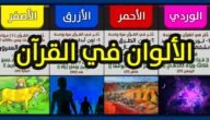 ما هي الالوان التي ذكرت في سوره البقره – خليجنا نت