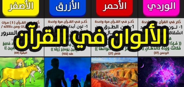 ما هي الالوان التي ذكرت في سوره البقره – خليجنا نت