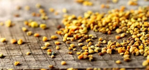 اين تباع حبوب لقاح النحل – خليجنا نت 1 اين تباع حبوب لقاح النحل – خليجنا نت