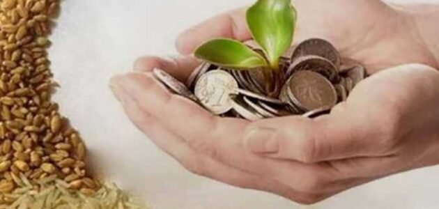 كم يبلغ مقدار زكاة الفطر 2023 في مصر – خليجنا