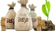 هل يجوز تقسيم زكاة الفطر على أكثر من شخص؟ .. تعرف على التفاصيل