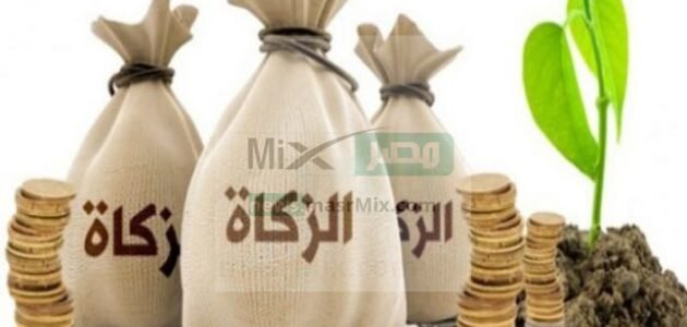 هل يجوز تقسيم زكاة الفطر على أكثر من شخص؟ .. تعرف على التفاصيل 1 هل يجوز تقسيم زكاة الفطر على أكثر من شخص؟ .. تعرف على التفاصيل