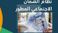 كم يستلم التابع في الضمان الاجتماعي المطور بالسعودية؟ الموارد البشرية توضح