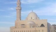 اين يقع مسجد فاطمة الشربتلى – خليجنا نت